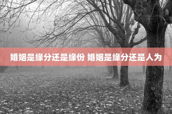 婚姻是缘分还是缘份 婚姻是缘分还是人为