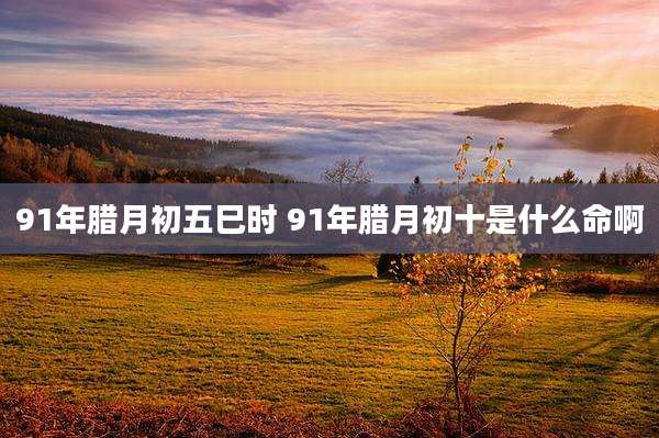 91年腊月初五巳时 91年腊月初十是什么命啊