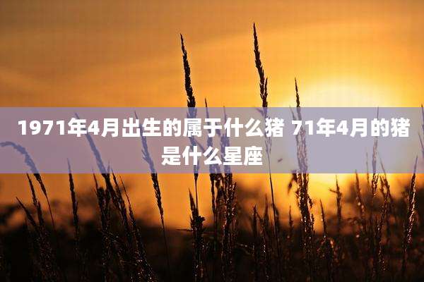 1971年4月出生的属于什么猪 71年4月的猪是什么星座