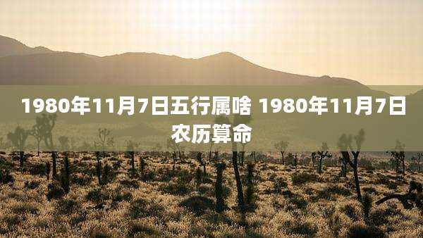 1980年11月7日五行属啥 1980年11月7日农历算命