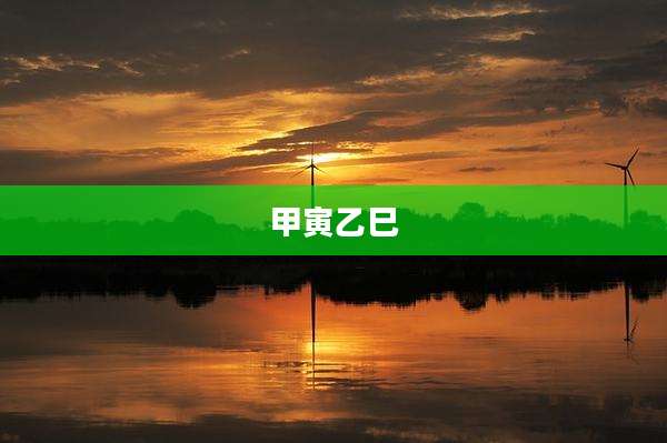 甲寅乙巳
