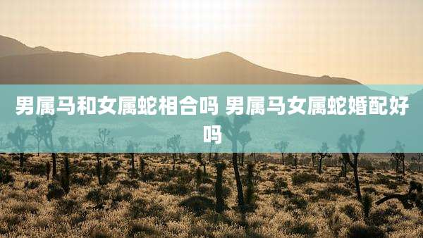 男属马和女属蛇相合吗 男属马女属蛇婚配好吗