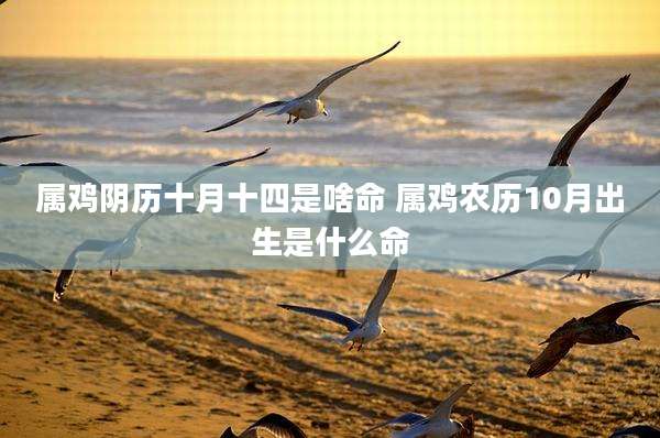 属鸡阴历十月十四是啥命 属鸡农历10月出生是什么命