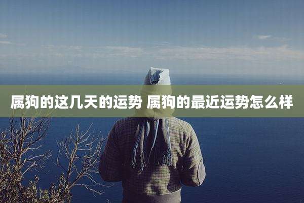 属狗的这几天的运势 属狗的最近运势怎么样