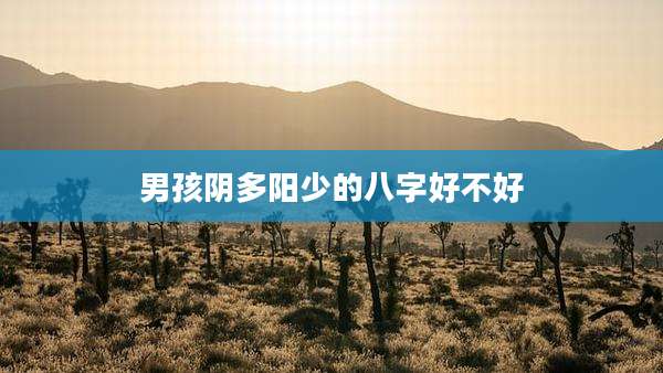 男孩阴多阳少的八字好不好