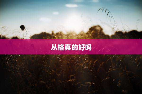 从格真的好吗