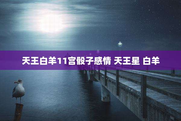 天王白羊11宫骰子感情 天王星 白羊