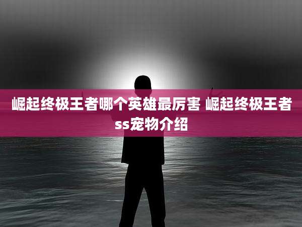 崛起终极王者哪个英雄最厉害 崛起终极王者ss宠物介绍