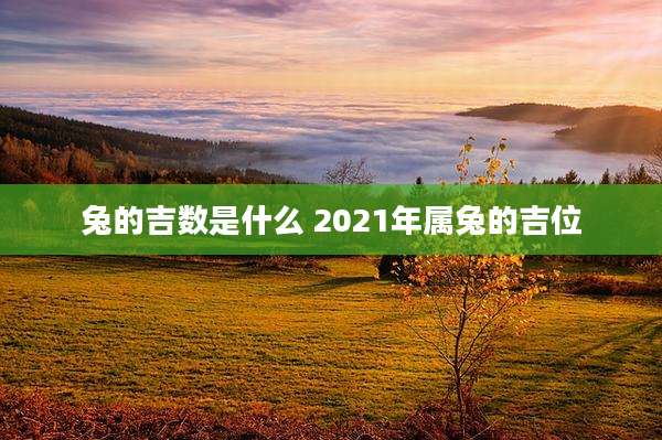 兔的吉数是什么 2021年属兔的吉位
