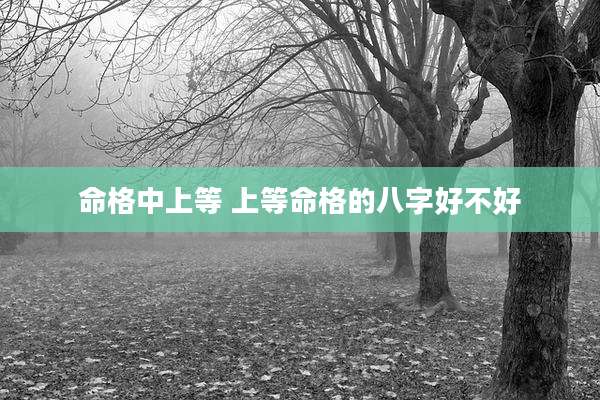 命格中上等 上等命格的八字好不好