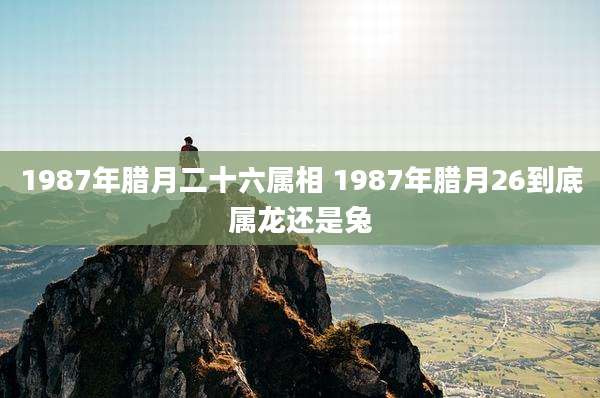 1987年腊月二十六属相 1987年腊月26到底属龙还是兔