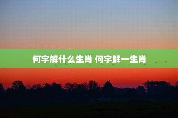 何字解什么生肖 何字解一生肖