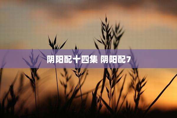 阴阳配十四集 阴阳配7