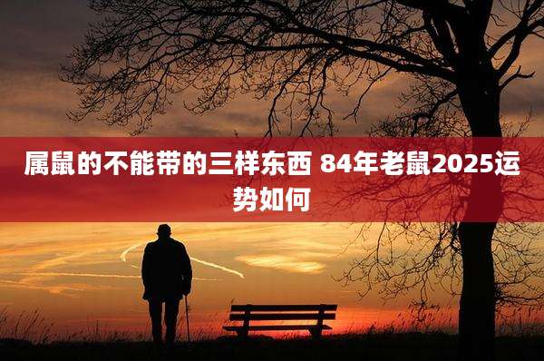 属鼠的不能带的三样东西 84年老鼠2025运势如何