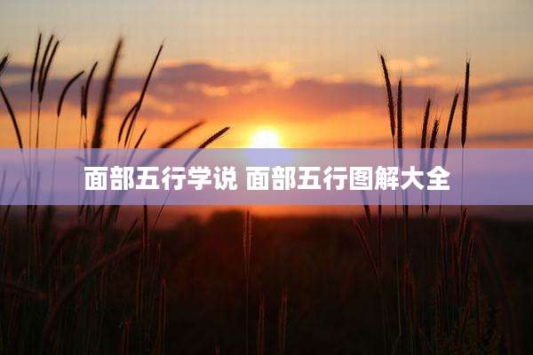面部五行学说 面部五行图解大全