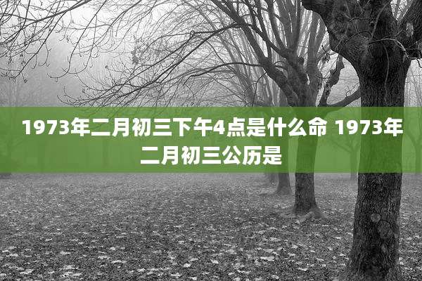 1973年二月初三下午4点是什么命 1973年二月初三公历是