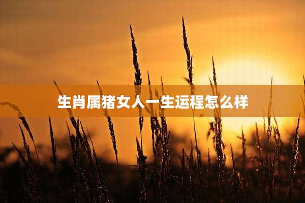 生肖属猪女人一生运程怎么样
