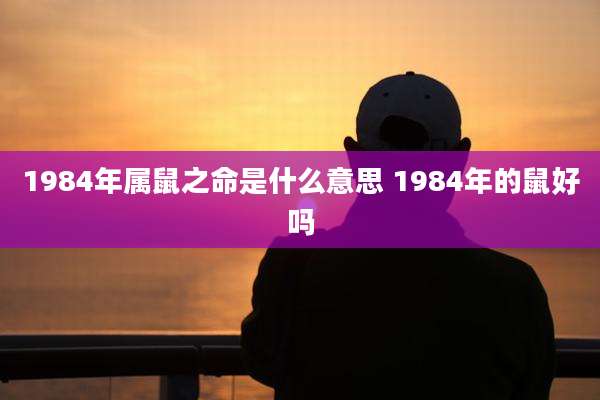1984年属鼠之命是什么意思 1984年的鼠好吗