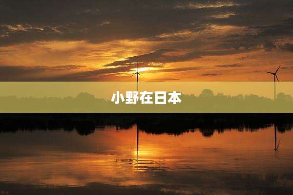 小野在日本