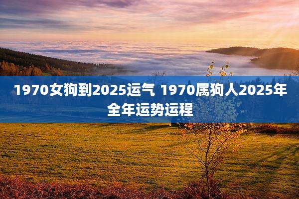 1970女狗到2025运气 1970属狗人2025年全年运势运程