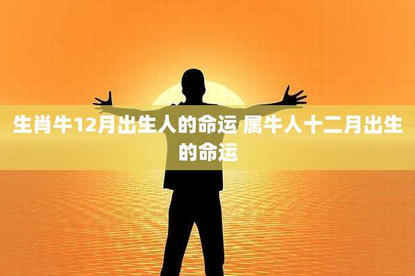 生肖牛12月出生人的命运 属牛人十二月出生的命运