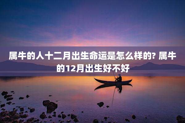 属牛的人十二月出生命运是怎么样的? 属牛的12月出生好不好