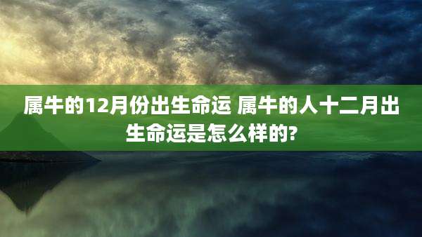 属牛的12月份出生命运 属牛的人十二月出生命运是怎么样的?