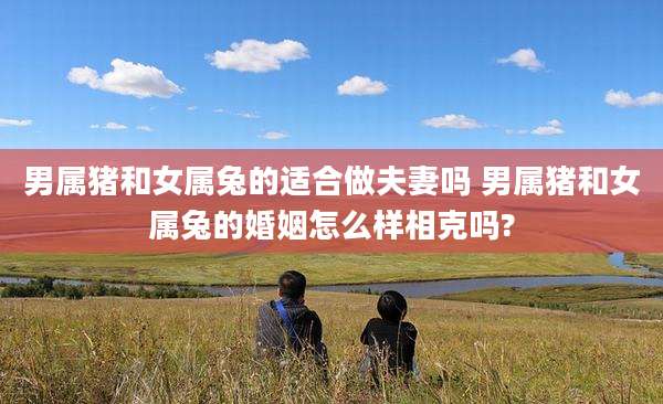 男属猪和女属兔的适合做夫妻吗 男属猪和女属兔的婚姻怎么样相克吗?