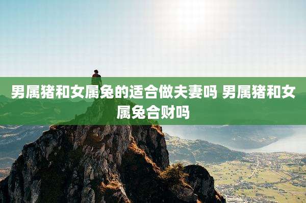 男属猪和女属兔的适合做夫妻吗 男属猪和女属兔合财吗