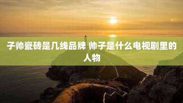 子帅瓷砖是几线品牌 帅子是什么电视剧里的人物