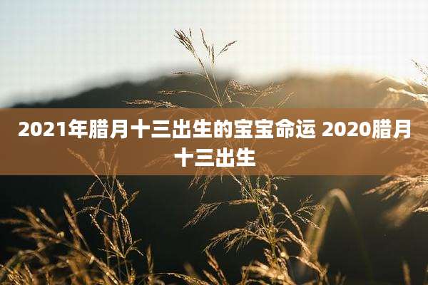 2021年腊月十三出生的宝宝命运 2020腊月十三出生