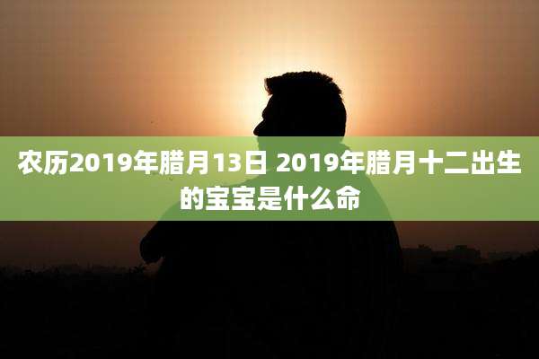 农历2019年腊月13日 2019年腊月十二出生的宝宝是什么命