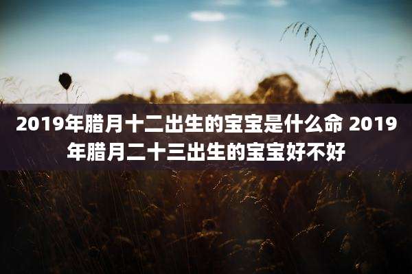 2019年腊月十二出生的宝宝是什么命 2019年腊月二十三出生的宝宝好不好