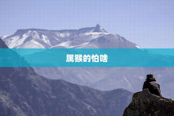 属猴的怕啥