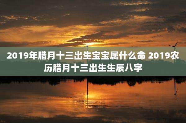 2019年腊月十三出生宝宝属什么命 2019农历腊月十三出生生辰八字