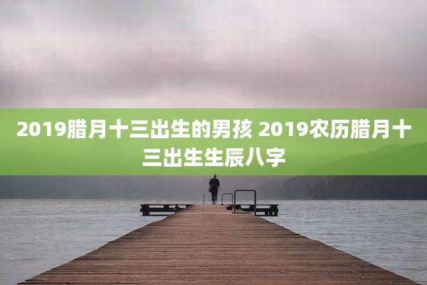 2019腊月十三出生的男孩 2019农历腊月十三出生生辰八字