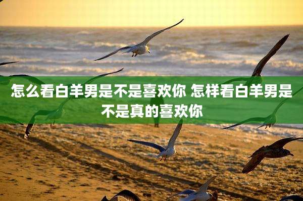 怎么看白羊男是不是喜欢你 怎样看白羊男是不是真的喜欢你