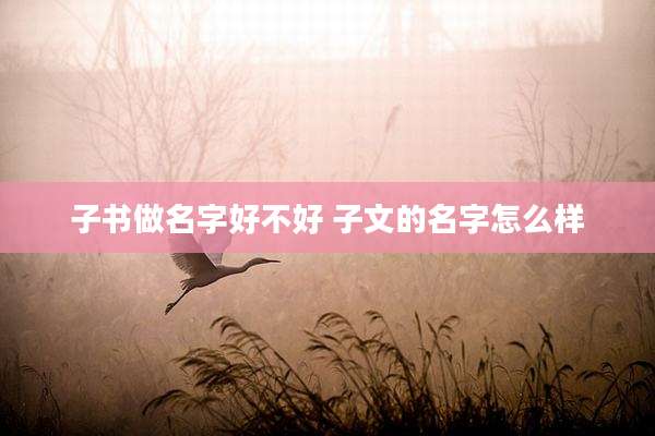 子书做名字好不好 子文的名字怎么样