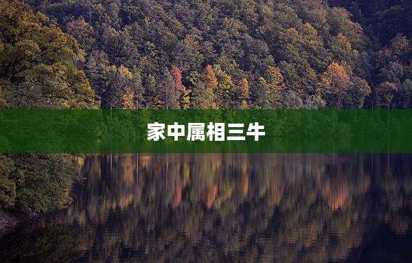 家中属相三牛