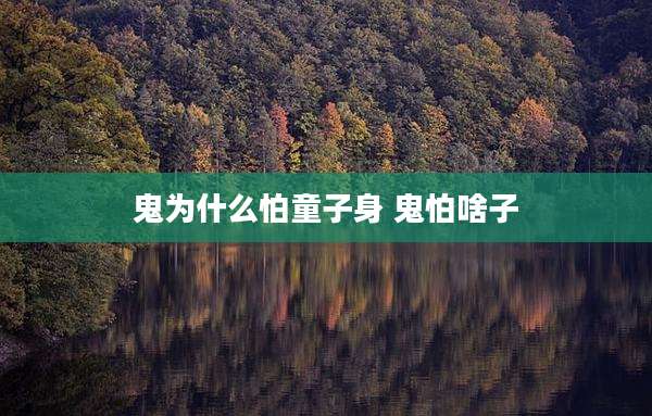 鬼为什么怕童子身 鬼怕啥子