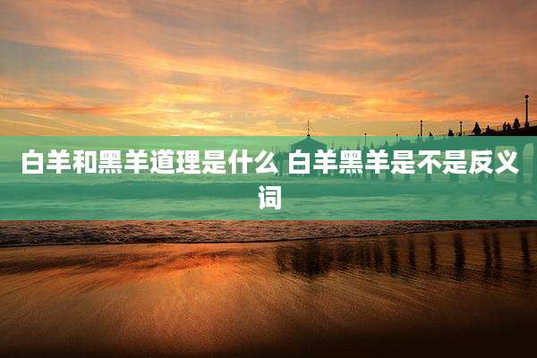 白羊和黑羊道理是什么 白羊黑羊是不是反义词