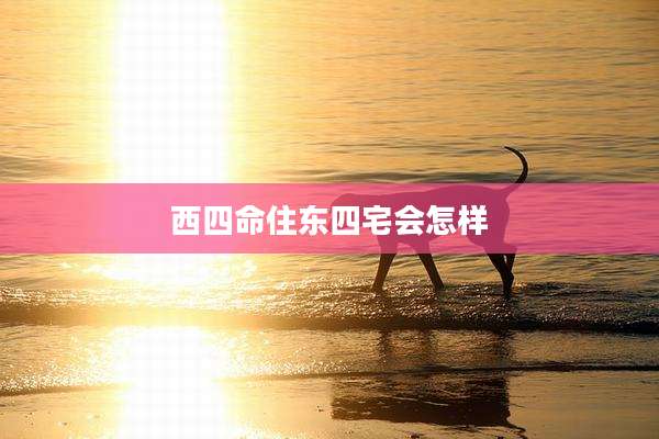 西四命住东四宅会怎样