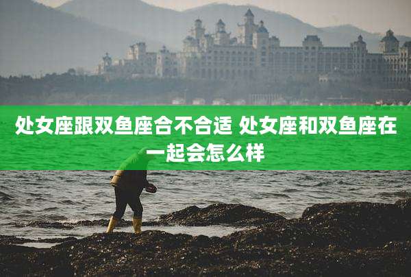 处女座跟双鱼座合不合适 处女座和双鱼座在一起会怎么样