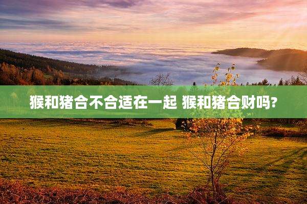 猴和猪合不合适在一起 猴和猪合财吗?