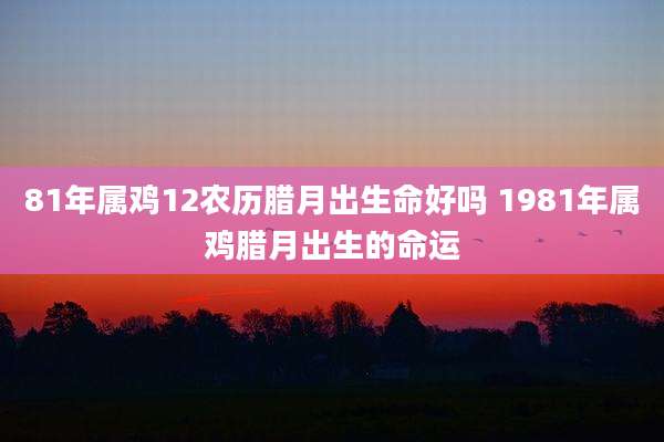 81年属鸡12农历腊月出生命好吗 1981年属鸡腊月出生的命运