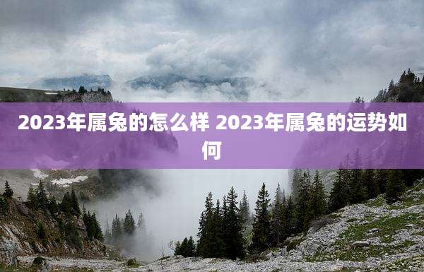 2023年属兔的怎么样 2023年属兔的运势如何