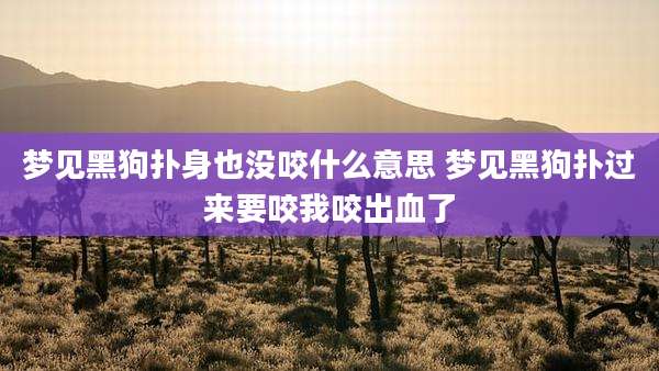 梦见黑狗扑身也没咬什么意思 梦见黑狗扑过来要咬我咬出血了
