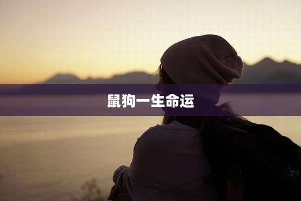 鼠狗一生命运
