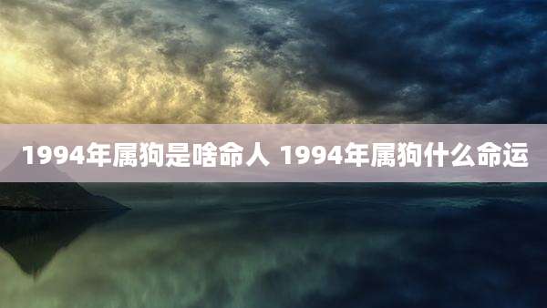 1994年属狗是啥命人 1994年属狗什么命运