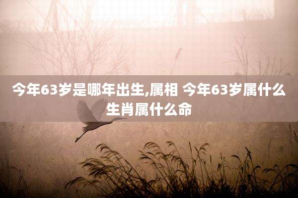 今年63岁是哪年出生,属相 今年63岁属什么生肖属什么命